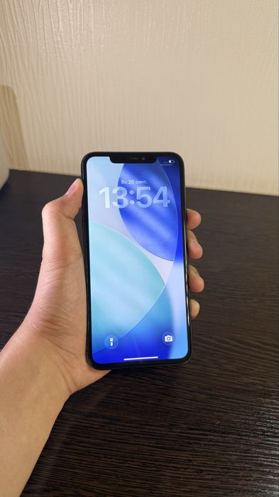 iPhone 11 Pro Max 256,100%