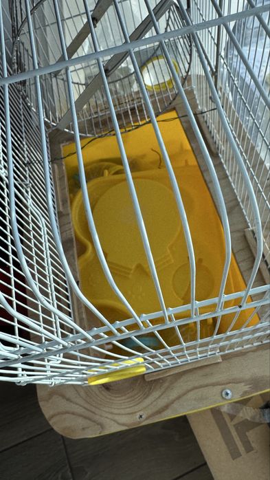 Продаю клетку для хомяка