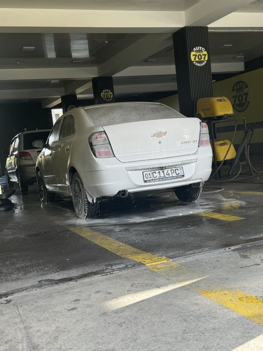 Cobalt midnight 2025