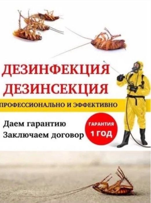 Професиональный Дезинфекция Таракан Клопы Клещи Муравья Крыса Мыщ Осы