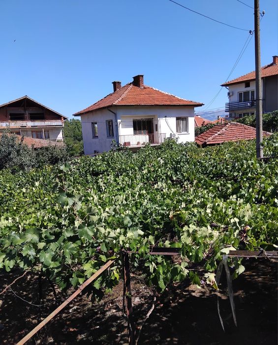 Продава две къщи в с.Слокощица общ.Кюстендил