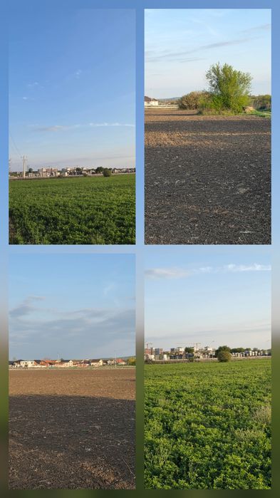 Teren intravilan de vânzare – Sânmartin - 5.683 mp