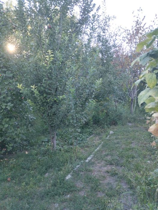 Продам Дом в Кировске.