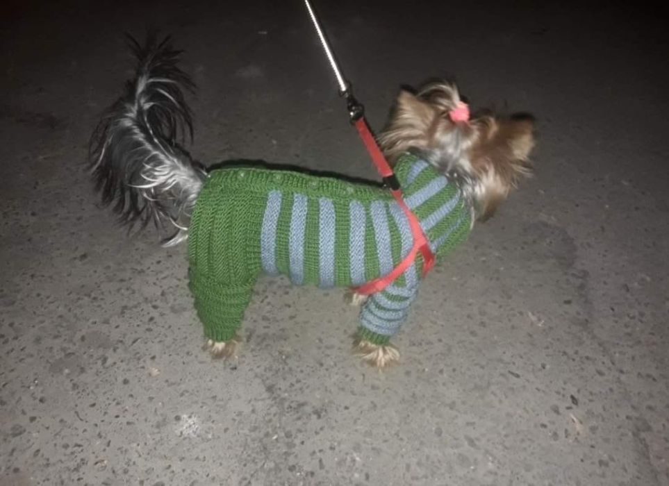 Вязаная одежда для собак и кошек,одежда для собак