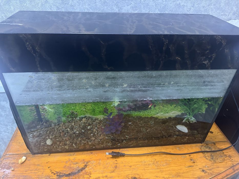 Avaryum b/u 50/10 sm