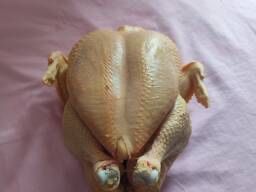 Домашние бройлеры