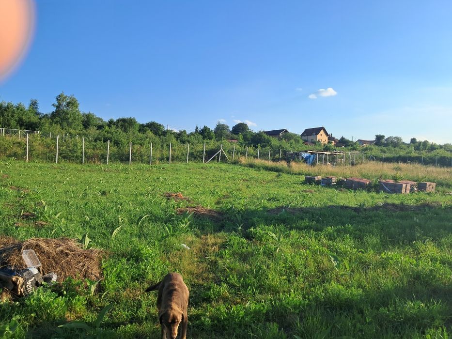 Vând teren intravilan DAIA NOUA 500 M2