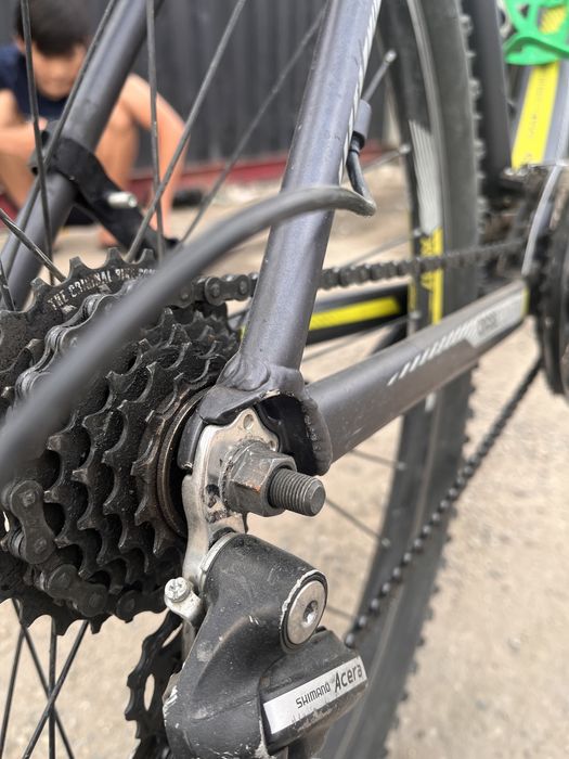 Велик сатылады жақсы бағада торг бар