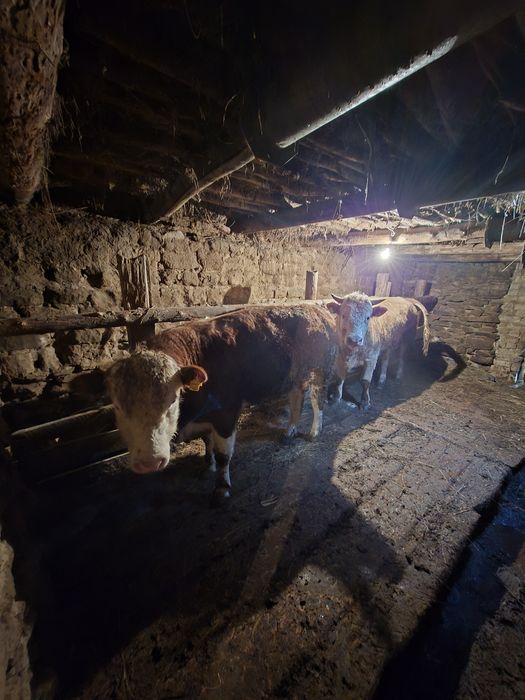 Букалар сатылады..