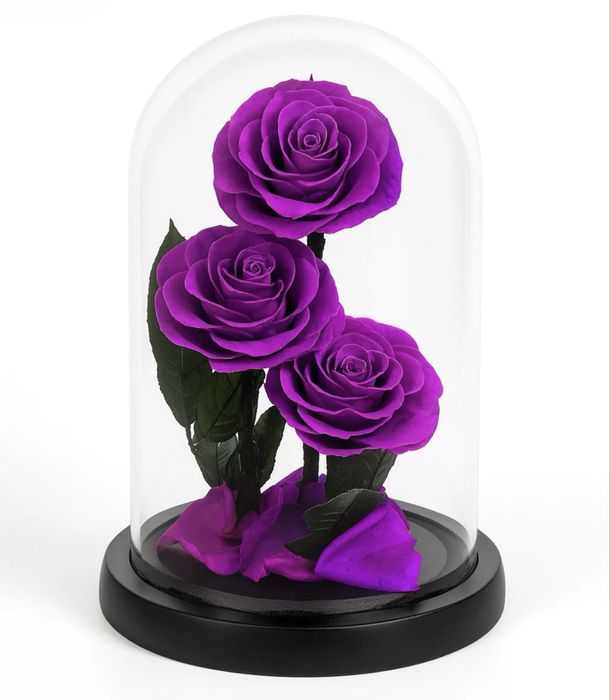 Un cadou minunat pentru Valentine’s Day