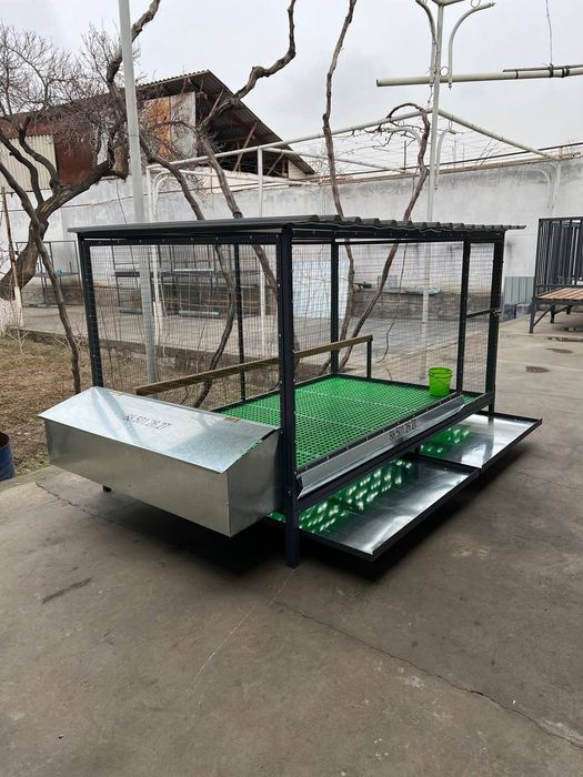 5 yulduzli TOVUQ Kataklar