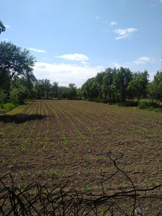 Vand casa Talpos jud Bihor