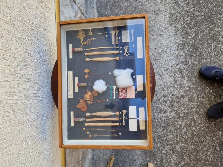 Страхотно антикварно пано - Влакнодайни култури