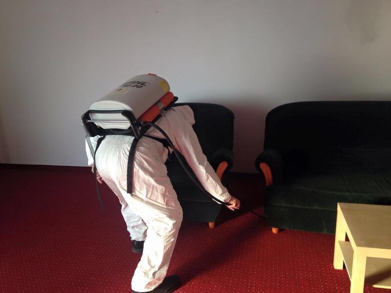 Dezinsectie, Dezinfectie si Deratizare