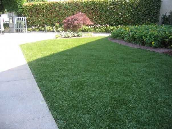 Amenajări și întreținere spații verzi