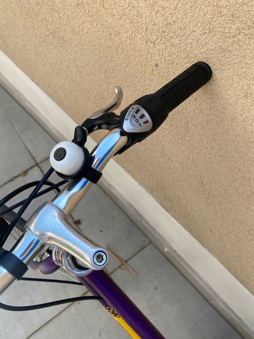 Bicicleta Pegas Dama de oras - cu 3 vitez