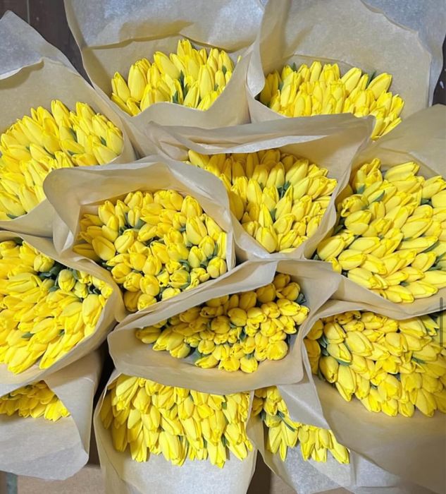 Тюльпаны оптом и в розницу