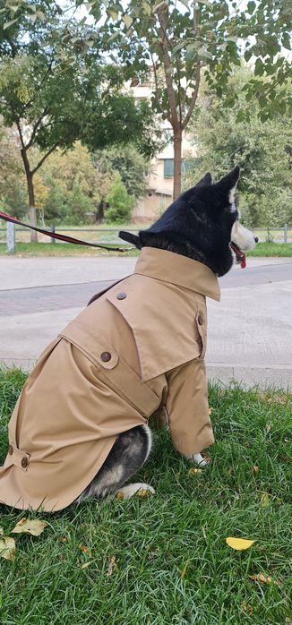 Одежда для собаки от TURKAN.