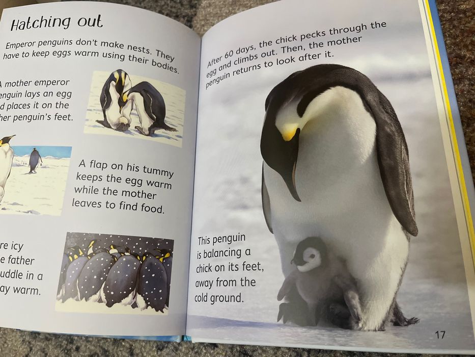 Детски книжки на английски език