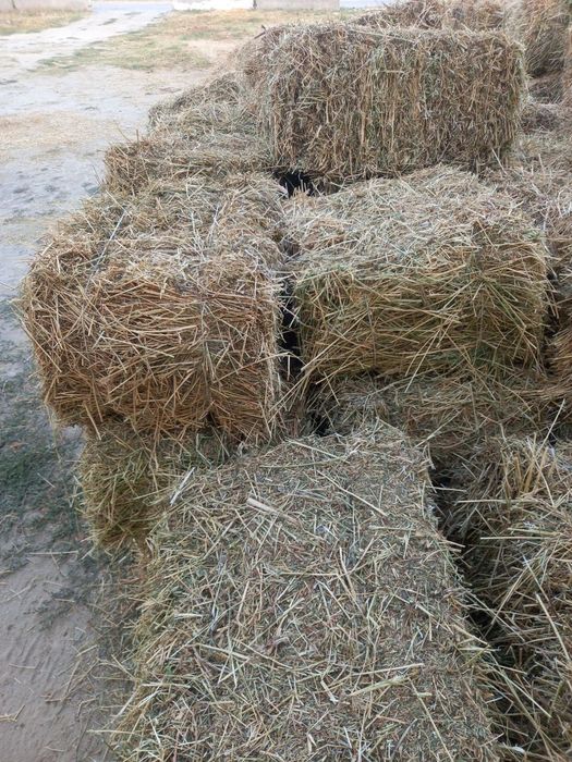 Прес хашаг тез сотиш керк Размер 70 см 80 аралаш