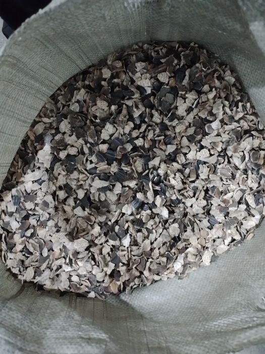 Жем отход от семечки