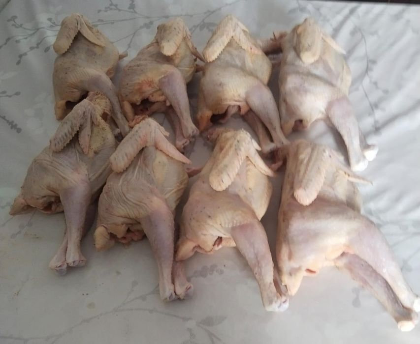 Куры домашние. Настоящие.