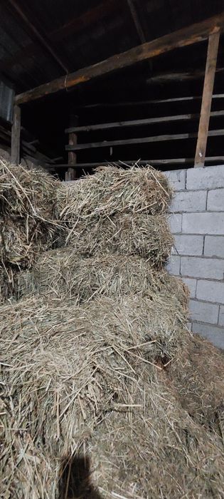 Сено в тюкаххххх