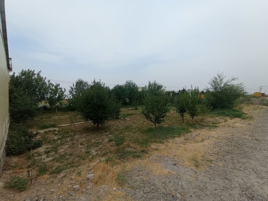 Uchastka sotiladi  6 sotix+ 4sotix bogʻi (yoʻl yuzida)Navoiyda