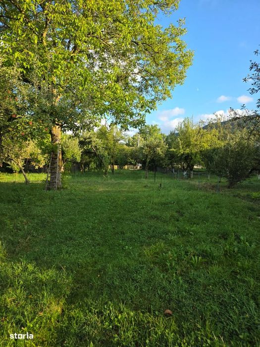 Teren 2500 Mp – Potențial Business / Dezvoltare – Breaza