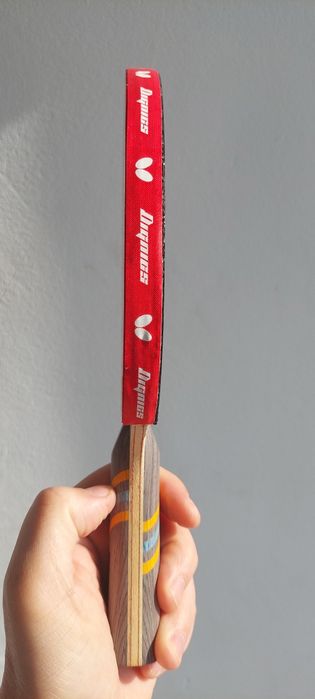 Paleta tenis de masa=Dhs Hurricane 8 + Donic Bluestorm Pro