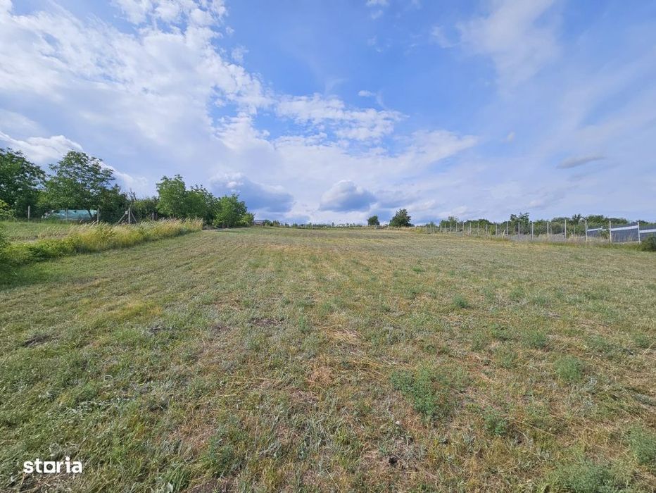 Teren de 1.113 mp | 135 euro/mp | Dambul Rotund | Zona str. Rubinului