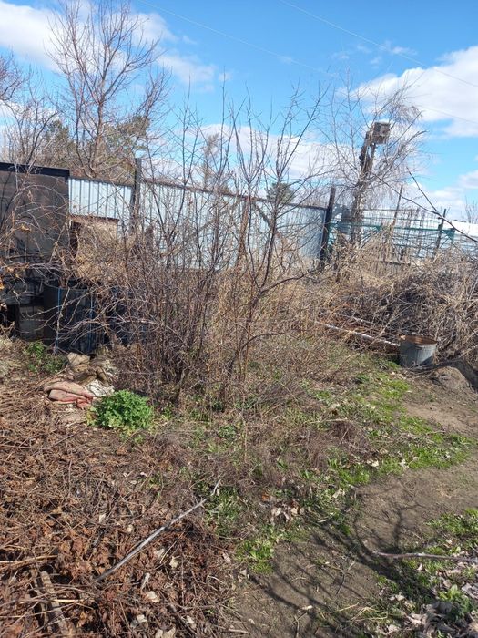 Продам  дачу в СО " ЧАПАЕВА" 8 сотокк