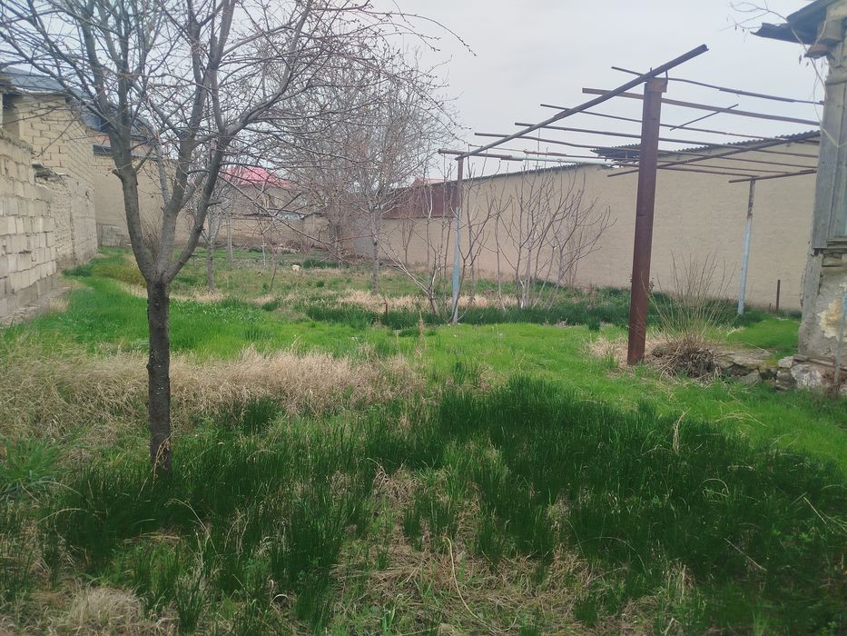 Самарканд Паст даргомда ховли сотилади