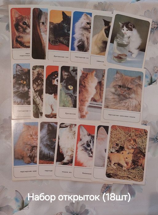 Продаются книги (разные)