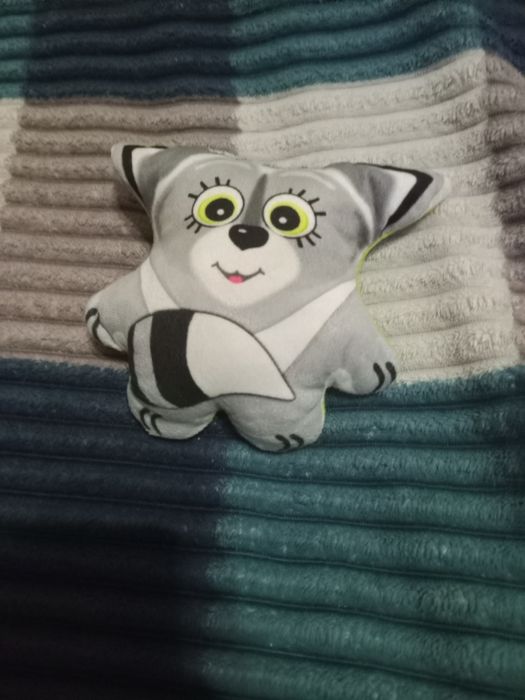 Енот из мема успогойся