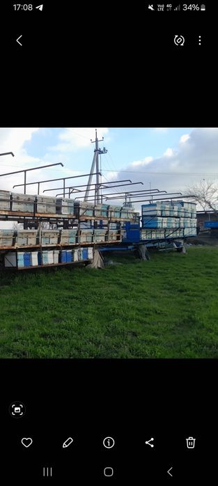 Siz xoxlagandek pavilion