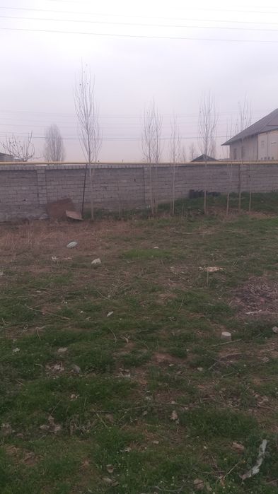 Yangihayot tumani Binokor maxalasida 5 sotik er sotiladii