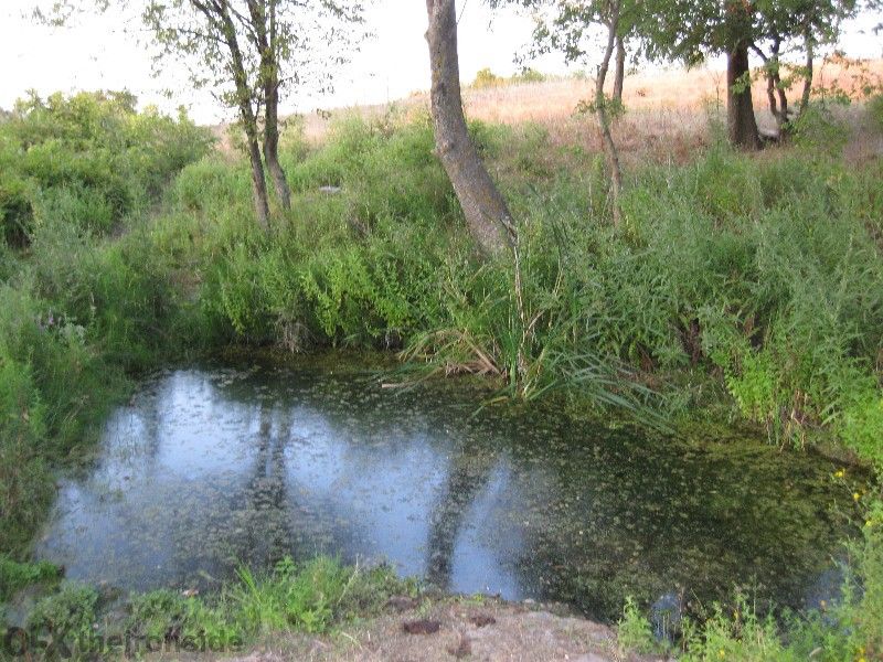 Продава се Земеделски имот в Царево -  кв.м за 27000 €/дка - Снимка #9