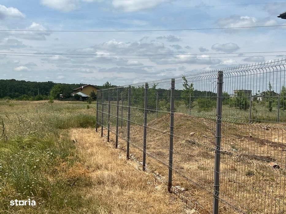 Vand Teren intravilan Branesti Str Violetelor 1036mp direct proprietar