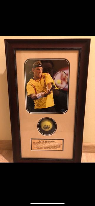 Minge tenis semnata David Nalbandian