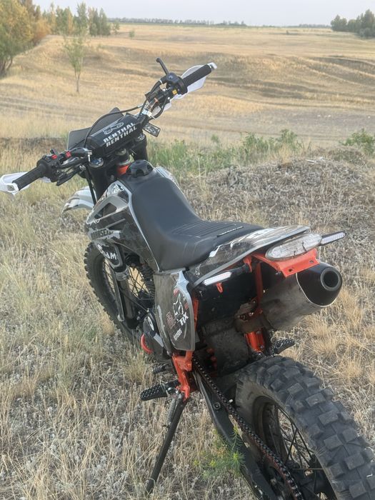 прогаси пальма 300