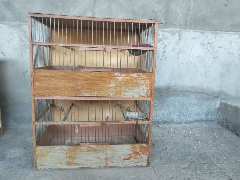 Клеткалар сатылады