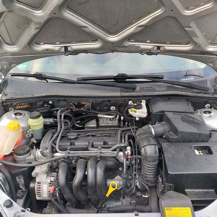 Ford Focus 1,6 benzina