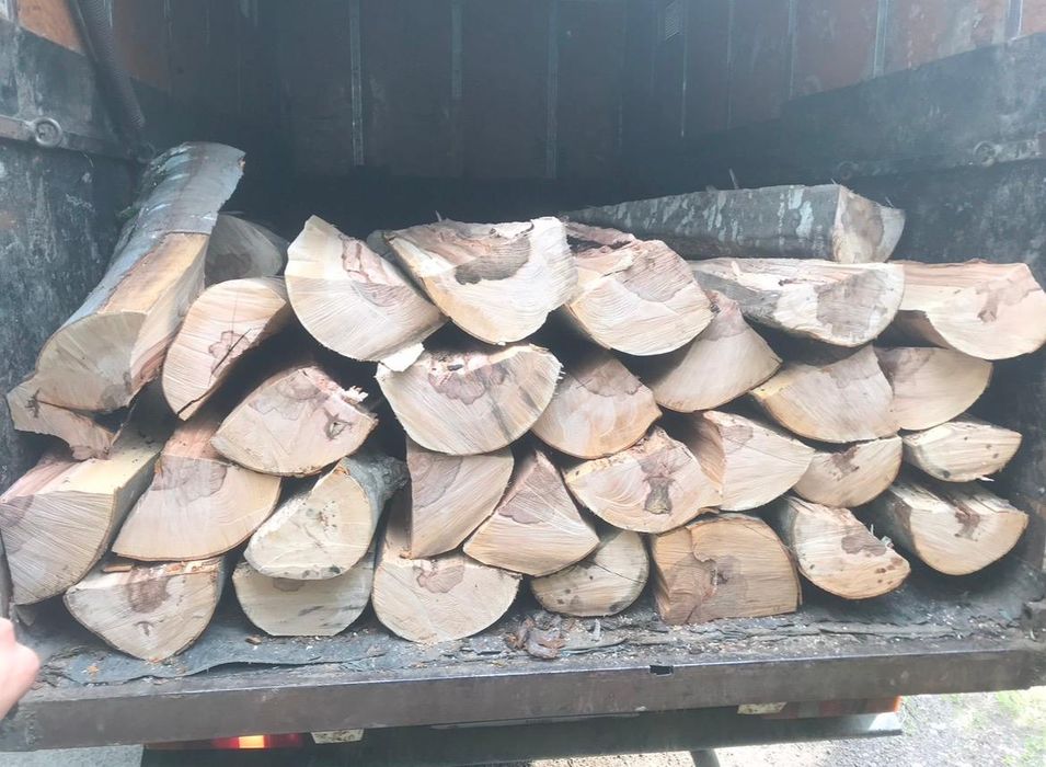 Vând lemne de fag și brad