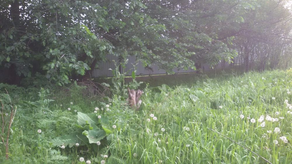 Продам зем участок