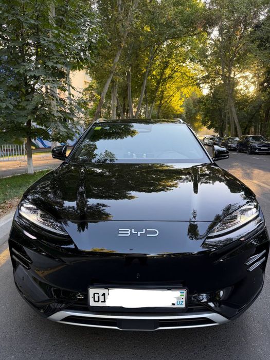Byd champion smart