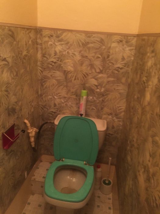 Кара камыше 1/2 Аренда