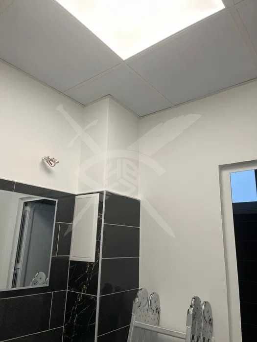 Дава се под наем Офис в Асеновград - 68 кв.м за 548.25 € - Снимка #3