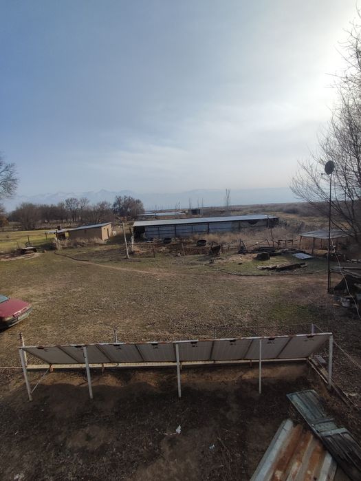 Продается откормочная Фазенда