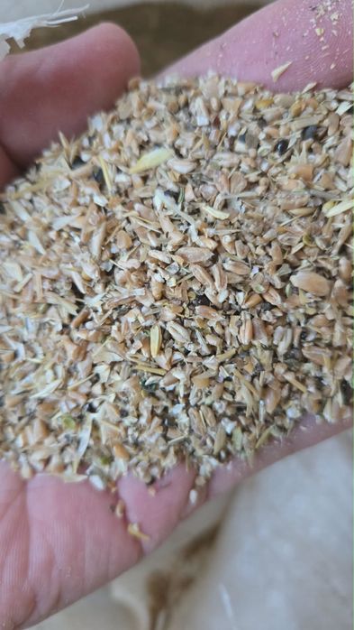 Продам сечку пшеницы, зерносмесь, отруби